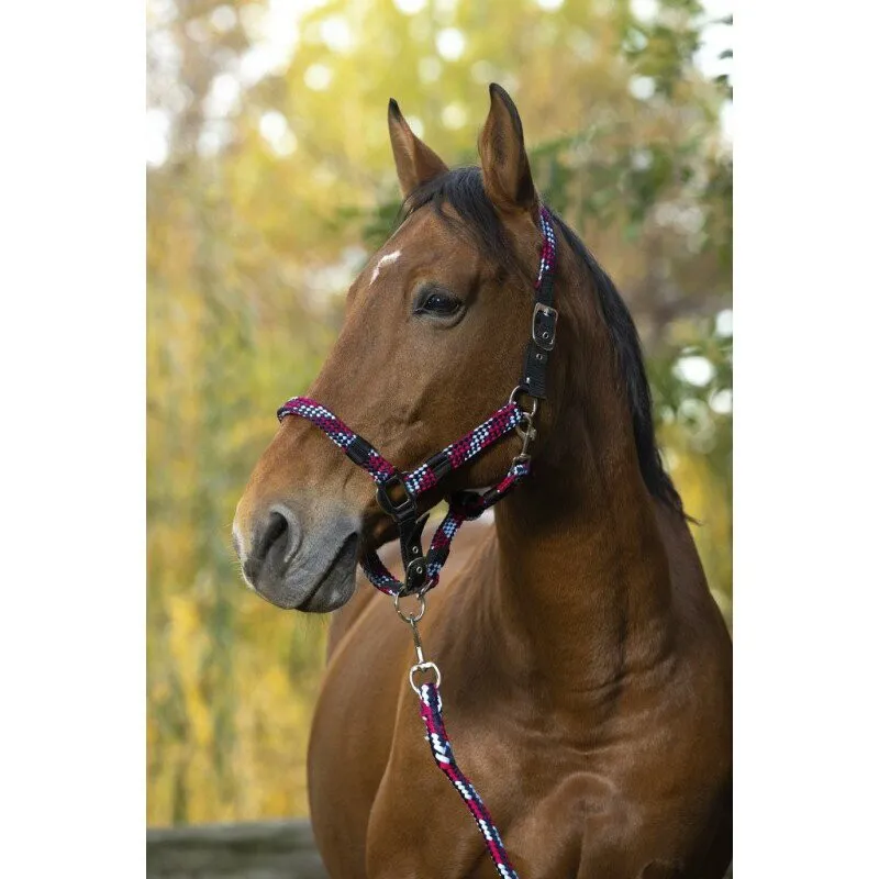 Norton TRESSÉ Headcollar and lead rope Fushia and Sky Blue