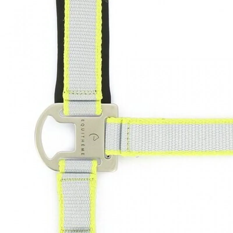 Equitheme SATINE Headcollar and Lead Rope Grey/Yellow