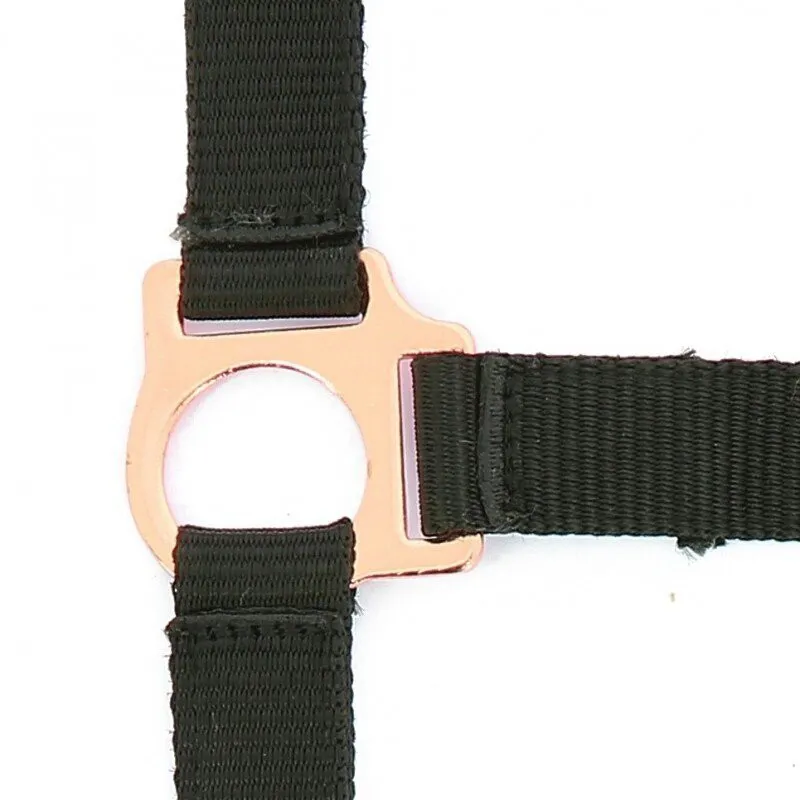 Norton Rose gold Headcollar and Lead Rope Black-1