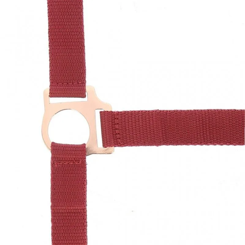 Norton Rose Gold Headcollar and lead rope Burgundy-1