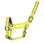 Woof Wear Contour Headcollar Sunshine Yellow