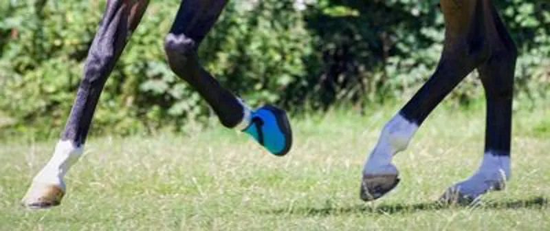 Woof Wear Medical Hoof Boot Blue-1