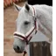Premier Equine Techno Wool Lined Head Collar Burgundy Full