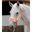 Premier Equine Techno Wool Lined Head Collar Orange Full 