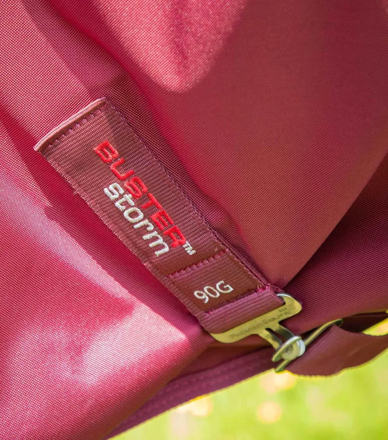 Premier Equine Buster Storm Classic 90g-1