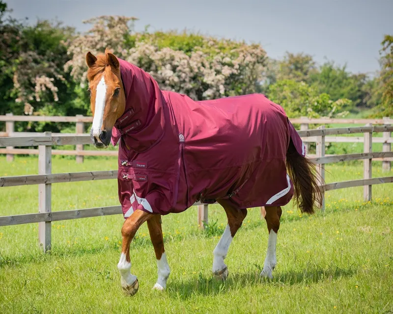 Premier Equine Buster Storm Classic 90g