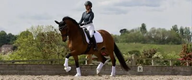 Woof Wear Faux Sheep Pro Over Reach Boot White