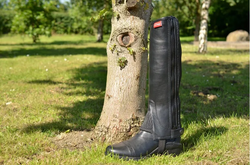 Dever Leather Half Chaps Black
