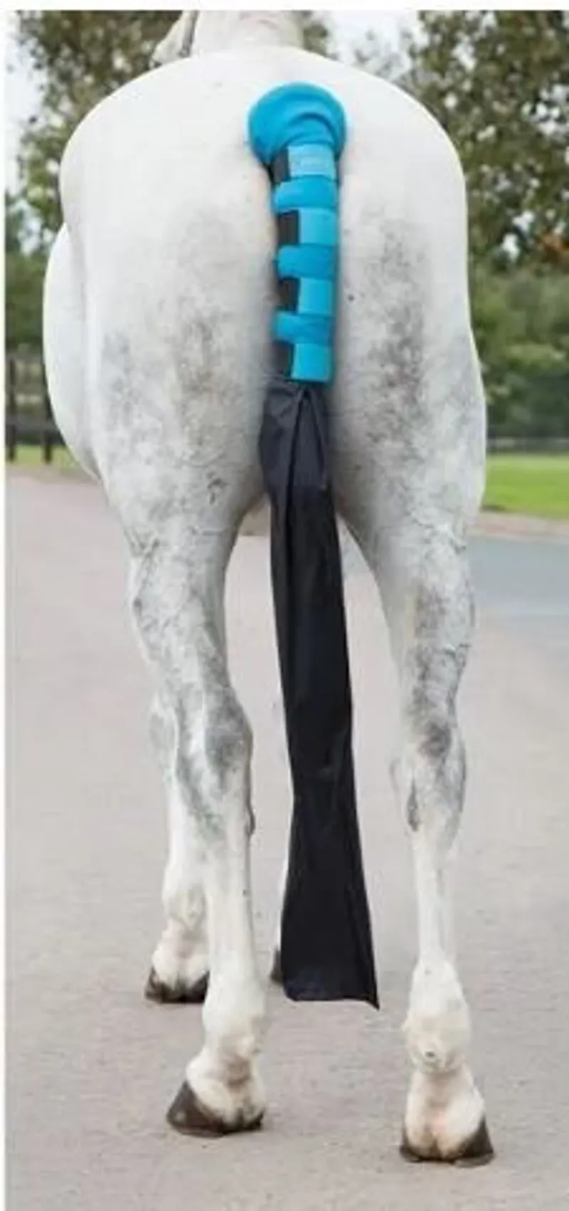 ARMA Padded Tail Guard With Bag BRIGHT BLUE one size