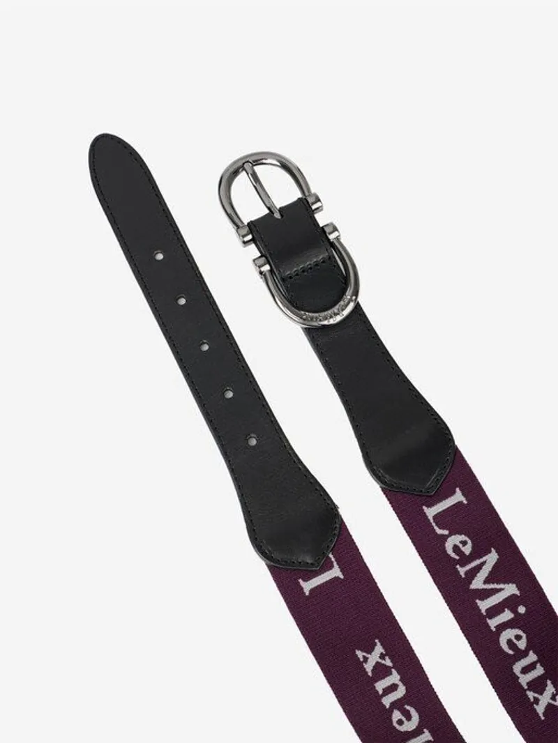 AW22 Lemieux Elasticated Belt Fig-1