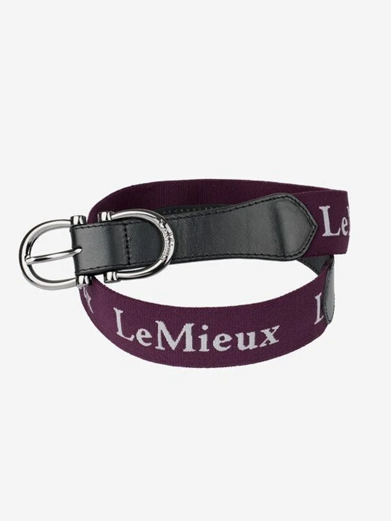 AW22 Lemieux Elasticated Belt Fig