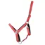 Hy Equestrian Glitzy Headcollar small pony red