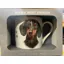 Mans best friend China Mug Dashound
