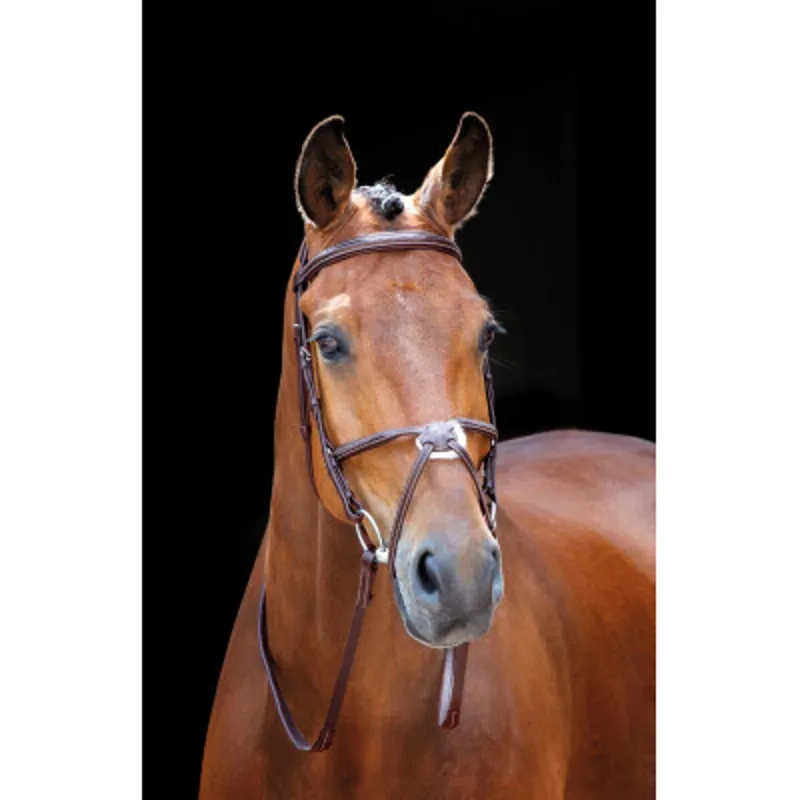 Shires Salisbury Brackley Bridle AUSTRALIAN NUT