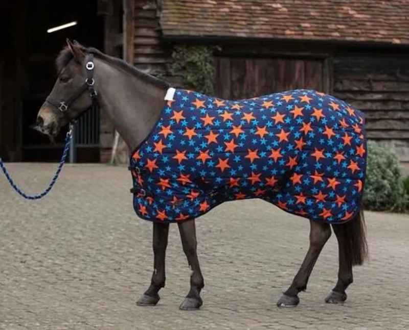 Mark Todd Mediumweight Pony Stable Rug Navy/Orange