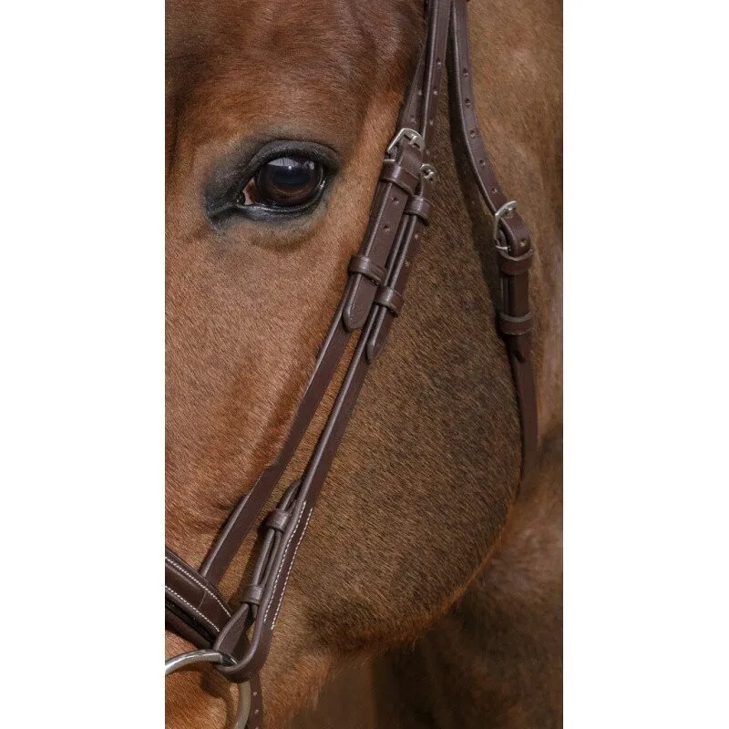 Norton Pro Diademe Bridle Havana-3