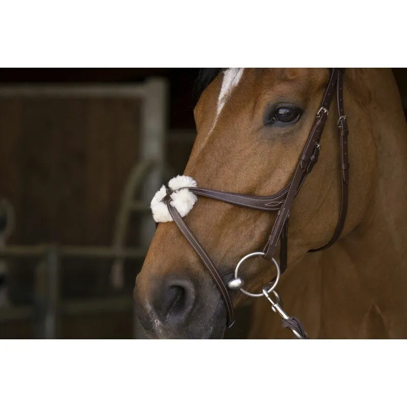Pro Crossed Noseband Bridle Havana-1
