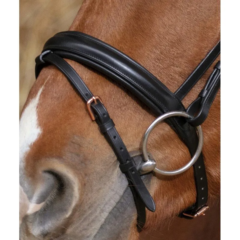 Norton Pro Gravure Bridle Black-1