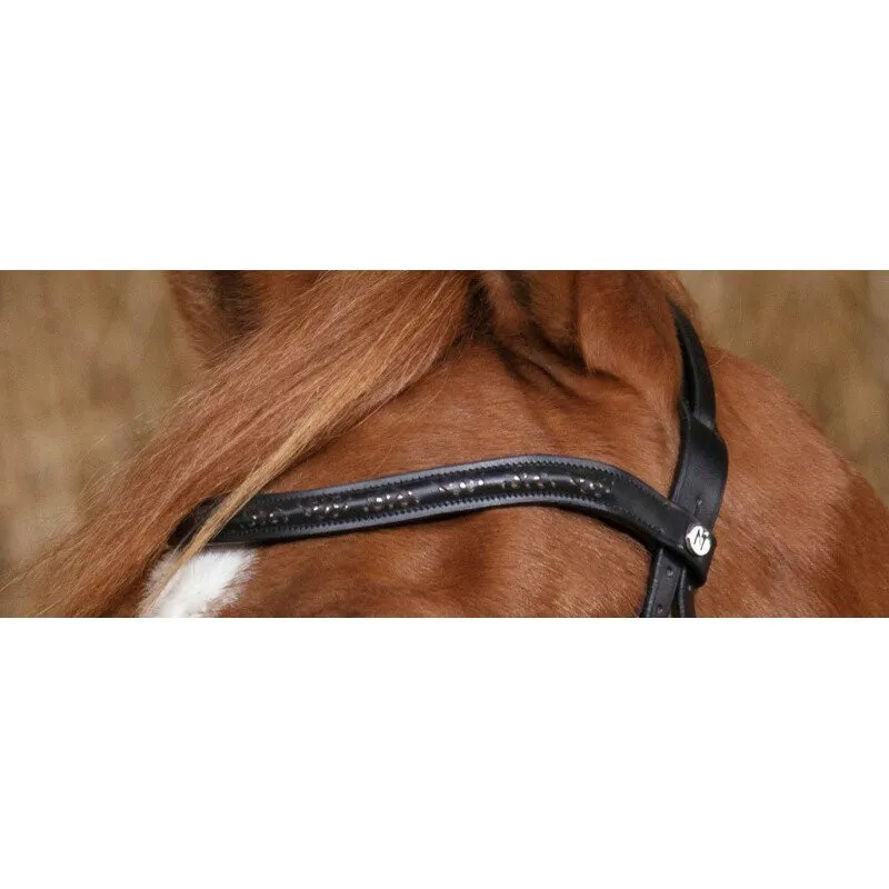 Norton Pro Gravure Bridle Black-3