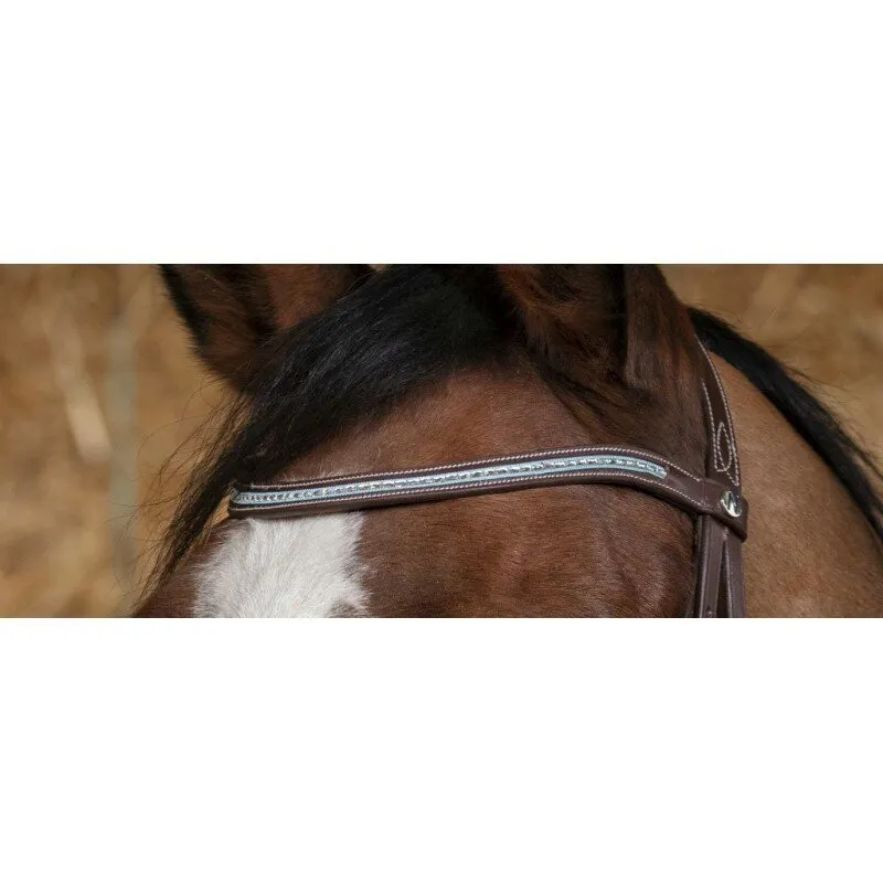 Norton Pro Diademe Bridle Havana-1