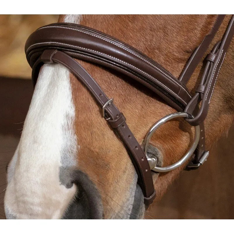 Norton Pro Diademe Bridle Havana-2