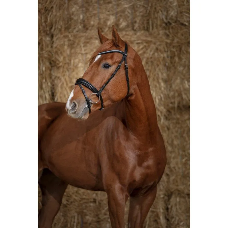 Norton Pro Diademe Bridle Black-1