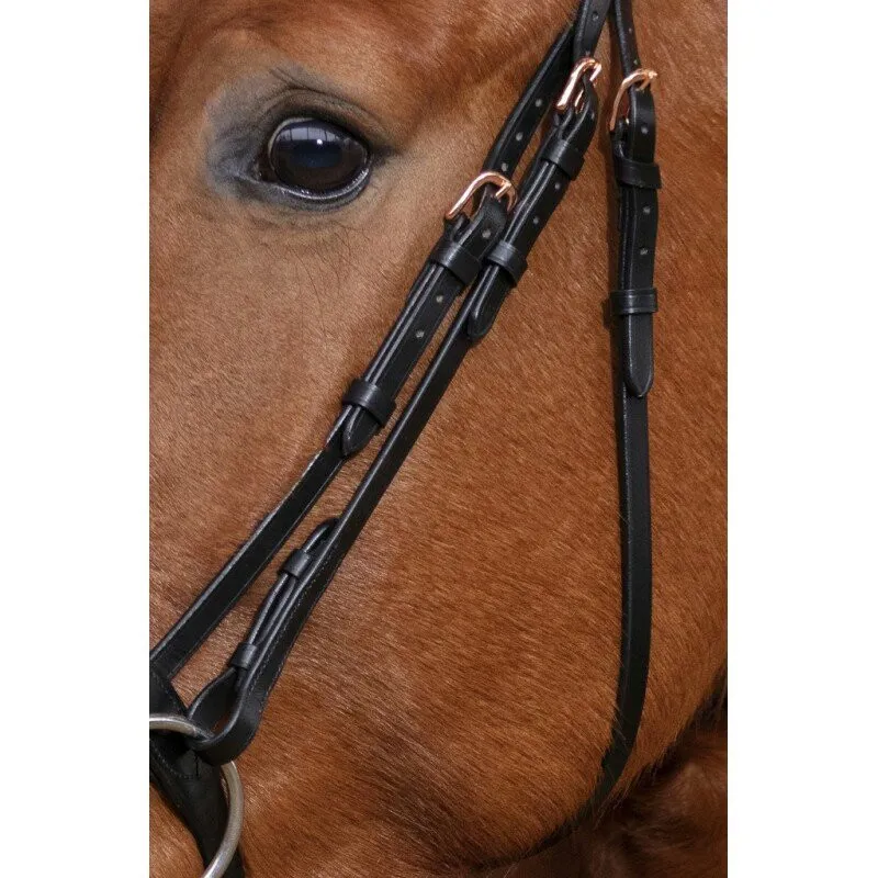 Norton Pro Gravure Bridle Black-2