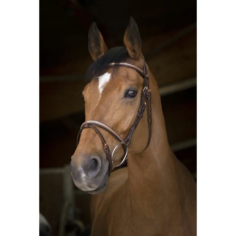 Norton Pro Clincher Bridle Havana