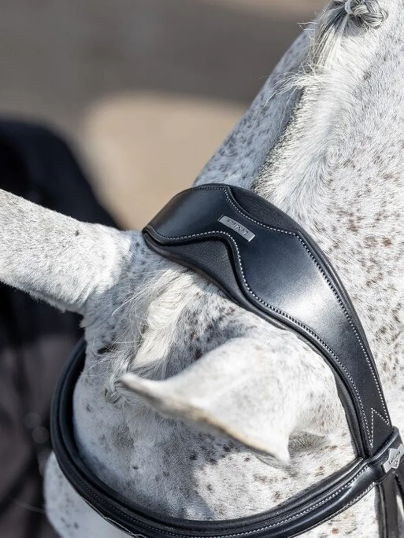 LeMieux Kudos Competition Flash Bridle Black-2