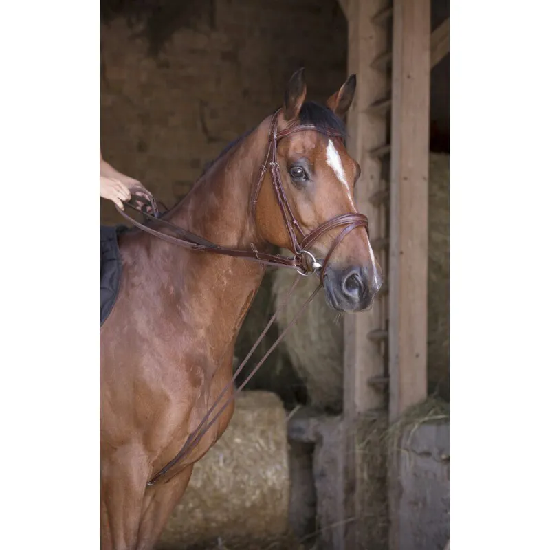 Norton Pro Leather/rope Draw Reins Havana