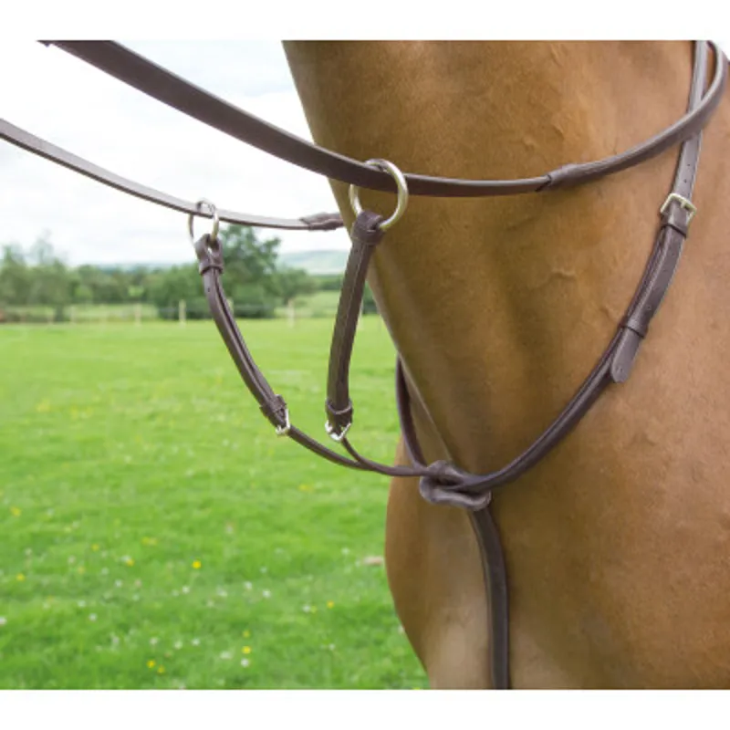 Bridleways Lavello Running Martingale Havana