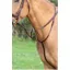 Velociti GARA Running Martingale HAVANA