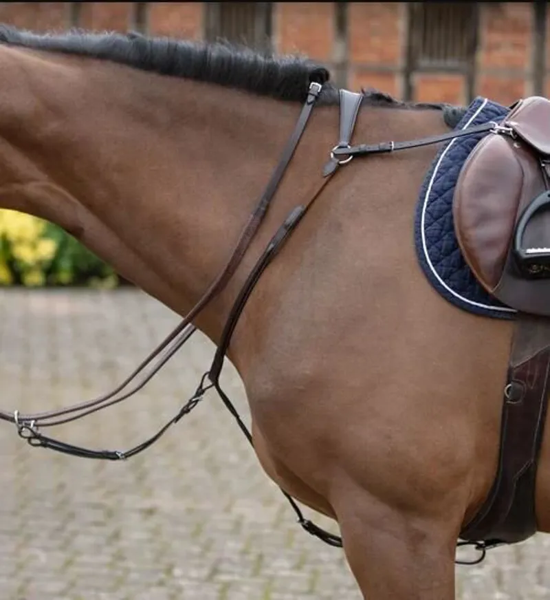 Mark Todd Performance Breastplate Havana