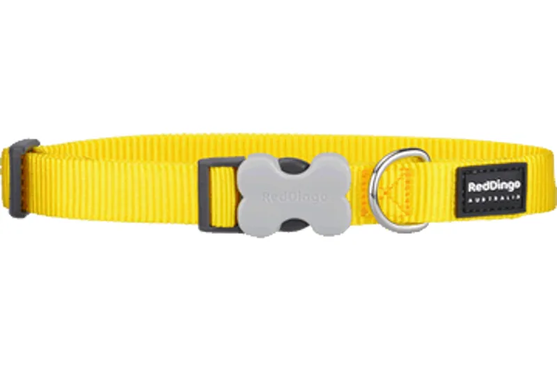 Red Dingo Plain Collar Yellow
