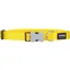 Red Dingo Plain Collar Yellow