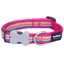 Rec Dingo Stripe Collar Hot Pink