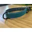 Sötnos Aquatech: Brights Collar Teal