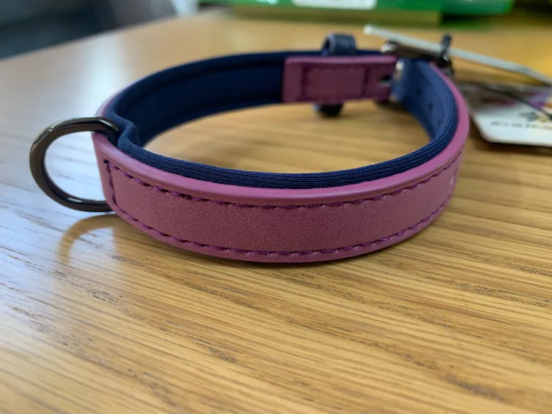 Sötnos Aquatech: Brights Collar Purple