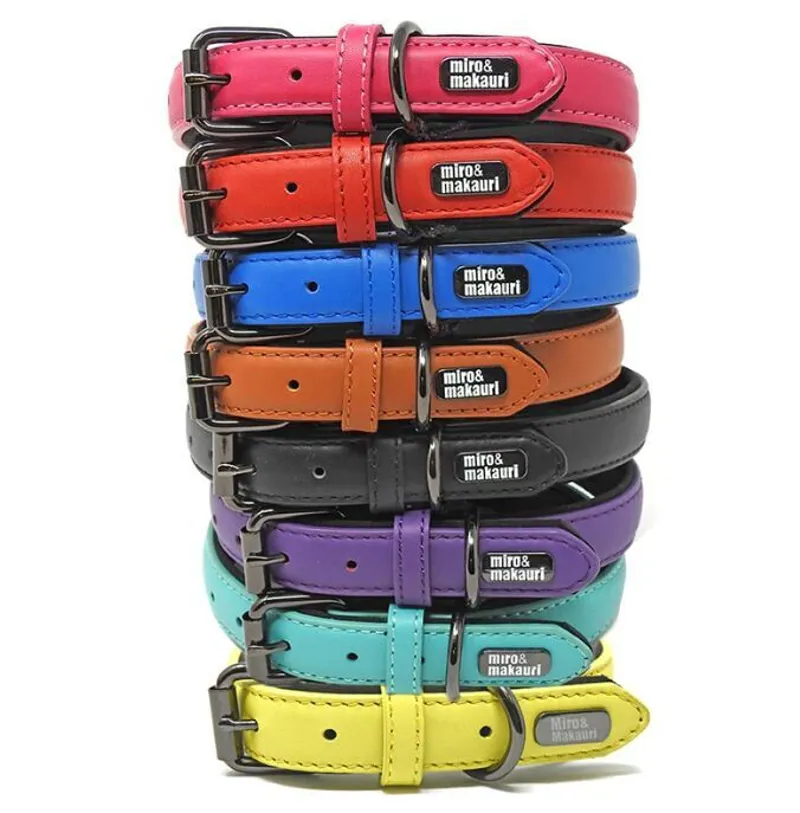 Miro and Makauri 'Milford' Leather Collars Turquoise