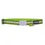 Red Dingo Reflective Cat Collar Lime Green