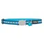 Red Dingo Reflective Cat Collar Turquoise