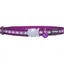 Red Dingo Reflective Cat Collar Purple
