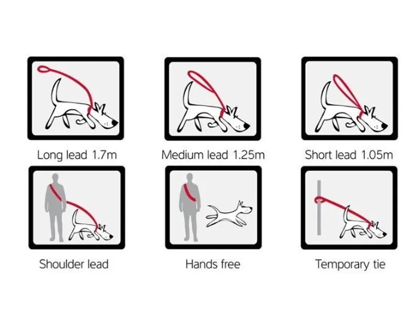 Red Dingo Multipurpose Lead Black 2m -1