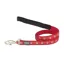 Red Dingo Patterned Dog Lead Desert Paw