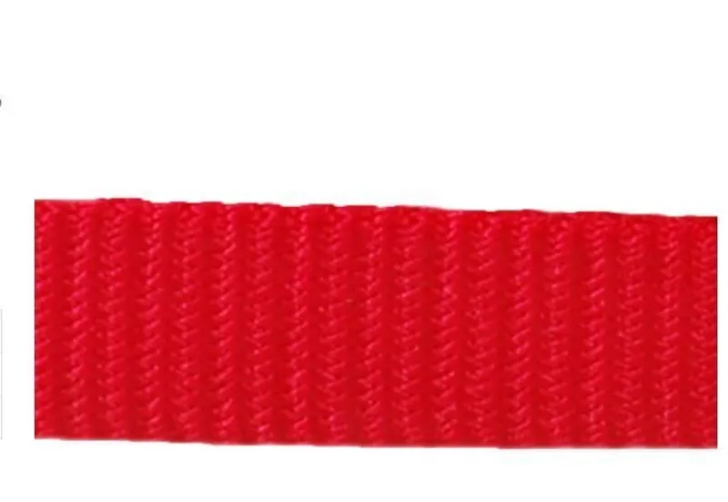 Red Dingo Plain 1.2m Dog Lead Red-2