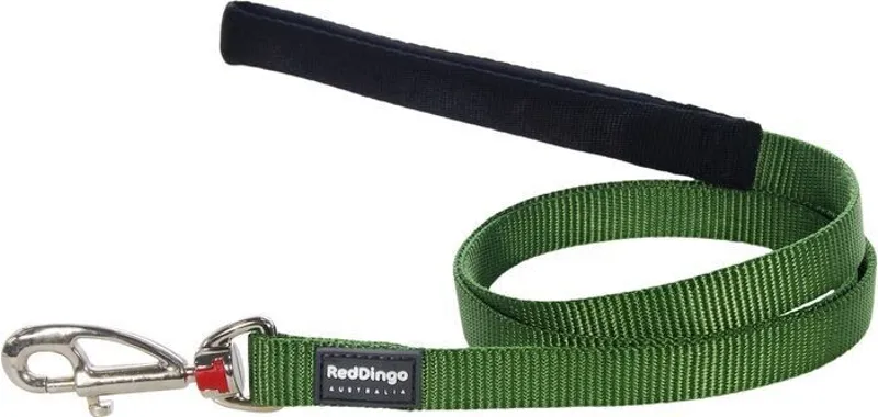 Red Dingo Plain 1.2m Dog Lead Green