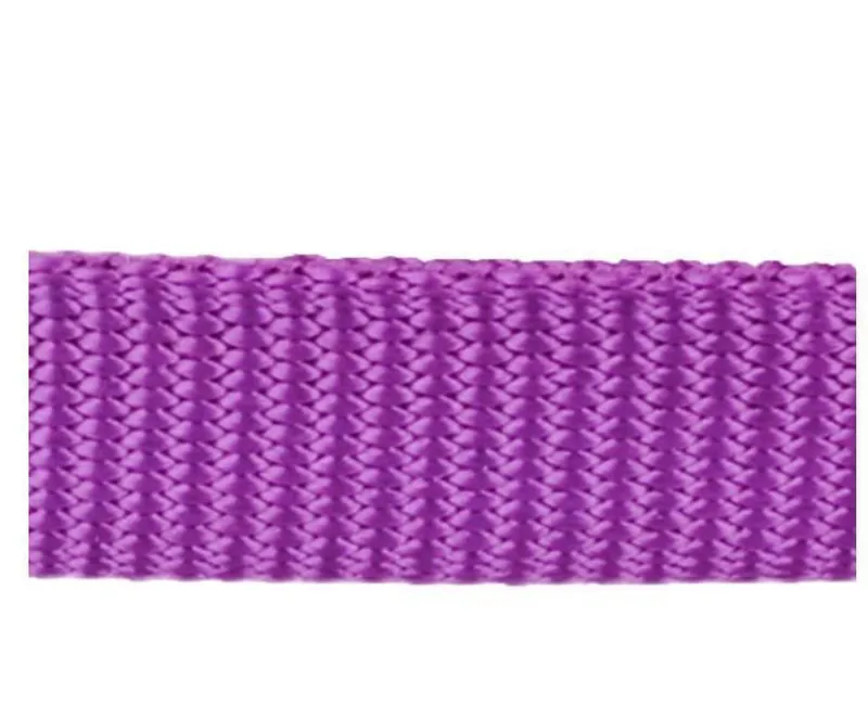 Red Dingo Plain 1.2m Dog Lead Purple-1