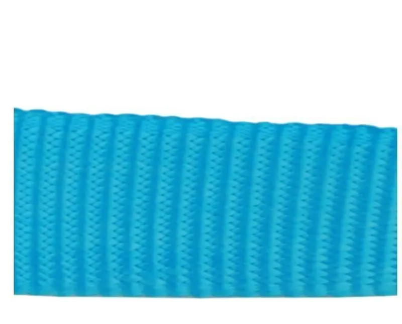 Red Dingo Plain 1.2m Dog Lead Turquoise-1