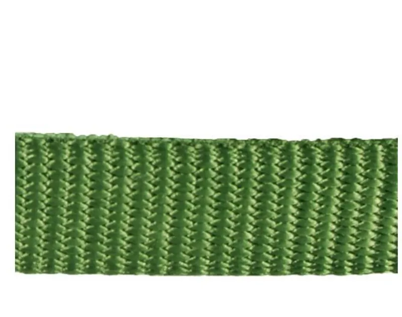 Red Dingo Plain 1.2m Dog Lead Green-1