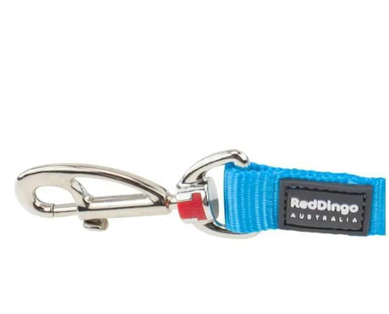 Red Dingo Plain 1.2m Dog Lead Turquoise-2